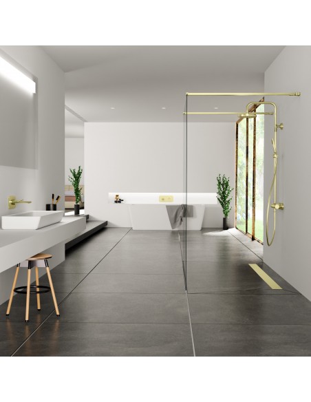 Luxurious bathroom in black and white color scheme including a walk-in shower in the middle of the room